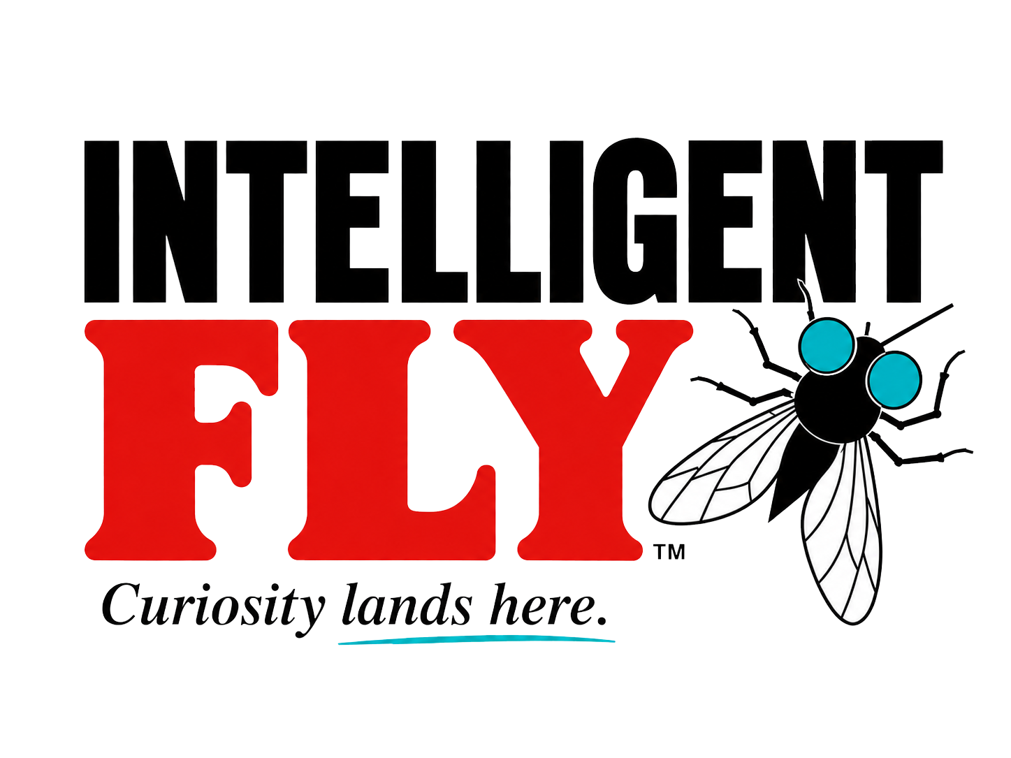 Intelligent Fly